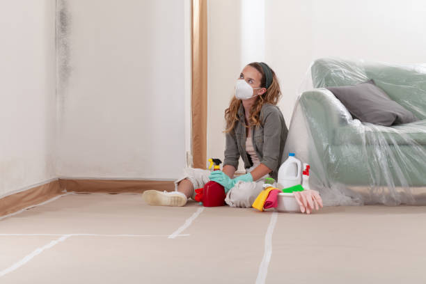 Reliable Bathroom Mold Removal contractor in Mine Hill, NJ by WQB Mold Removal
